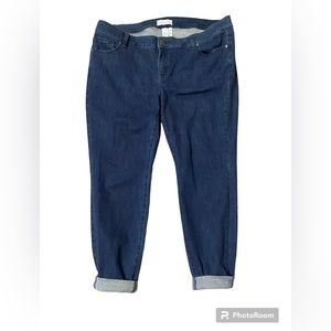 Lane Bryant Jeans